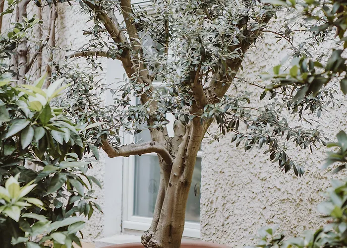 Lejlighedshotel Honigmond Boutique