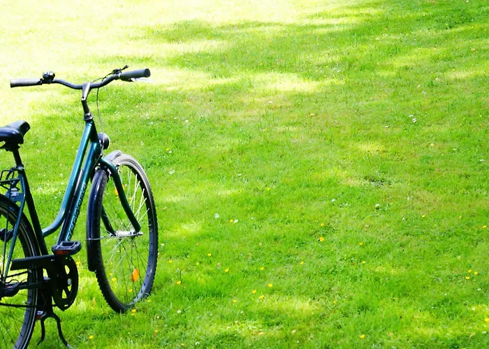 霍宁格莫地精品酒店 4* 柏林